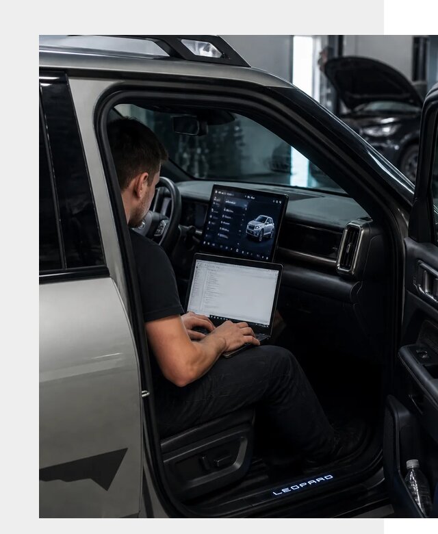 Русификация BYD Leopard 3 в Тутаеве по цене от 20863 р. | ФастМобиль-Ттв